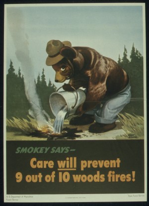 Smokey says - Care will prevent 9 out of 10 woods fires poster